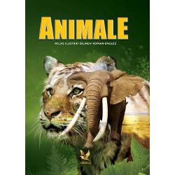 Animale. Atlas bilingv ilustrat roman-englez