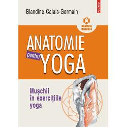 Anatomie pentru yoga