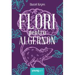 Flori pentru algernon