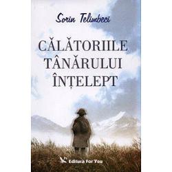 Calatoriile tanarului intelept