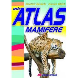 Mic atlas mamifere