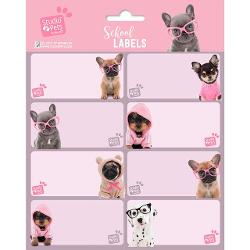 Eticheta scolara STUDIO PETS DOGS 2019 ELE0265