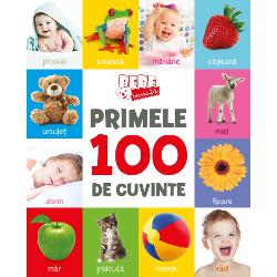 Primele 100 de cuvinte. Bebe invata