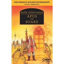 Apus de soare 2014