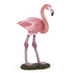 Flamingo mare P50187