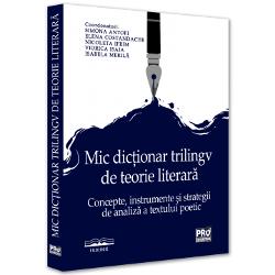 Mic dictionar trilingv de teorie literara: Concepte, instrumente si strategii