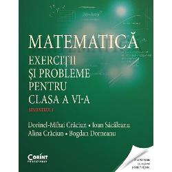 Matematica. Exercitii si probleme pentru clasa a VI a semestrul II