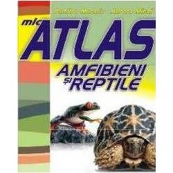 Mic atlas Amfibieni si reptile